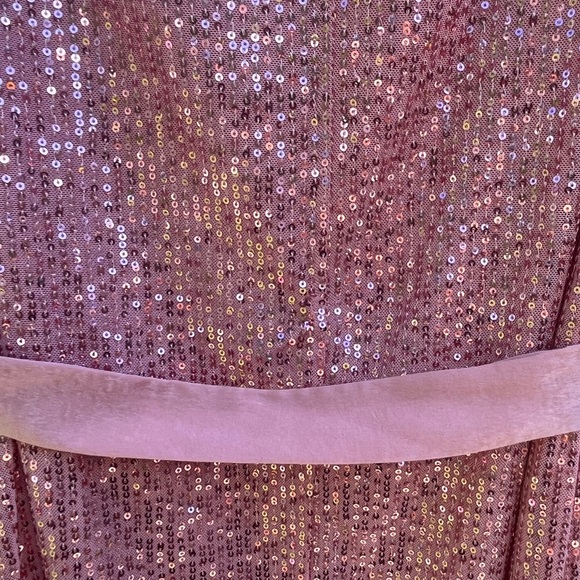 LC Pink Sequin Dress - Picture 10 of 10